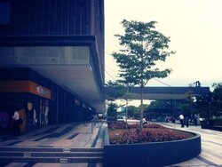 Paya Lebar Square (D14), Office #456727851